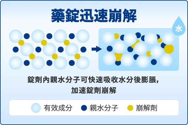 藥錠迅速崩解